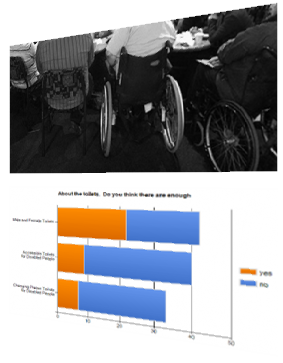 Picture of consultation meeting with disabled people TOP Picture of consultation survey graph BOTTOM